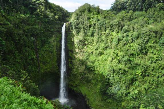A bela Akaka Falls, perto de Hilo, em Big Island, no Hawaii